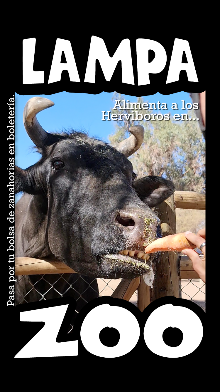 alimenta-a-los-herviboros-moro