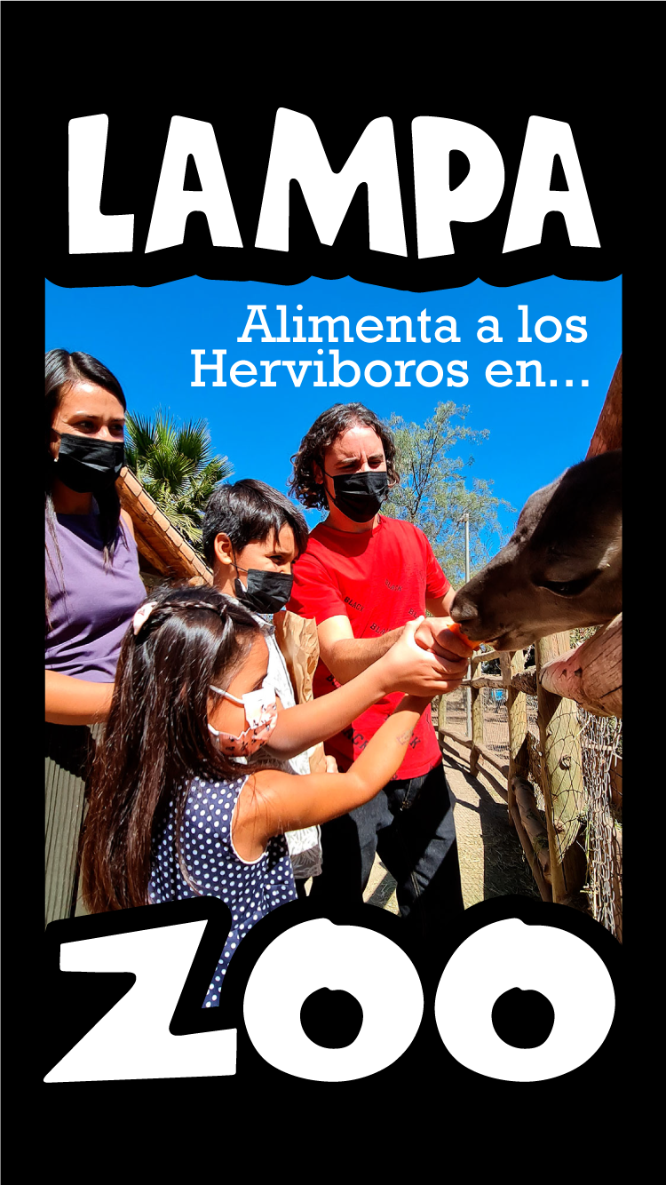 alimenta-a-los-herviboros