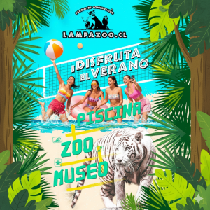 Entrada Piscina Adulto de Lunes a Domingo y Festivo