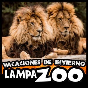 Entrada Adulto Vacaciones Invierno