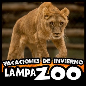 Entrada Niños Vacaciones Invierno